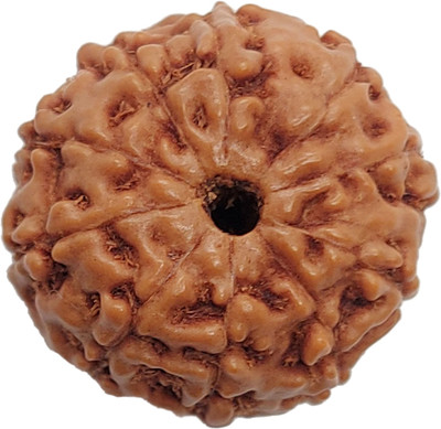 RamG 10 Mukhi Rudraksha 18-20 MM Heavy-1 Very Fine Wood Pendant