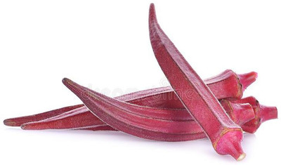 Mozette Hybrid Okra Red Seed(50 per packet)