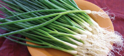 Mozette Hybrid Bunching onion Seed(55 per packet)