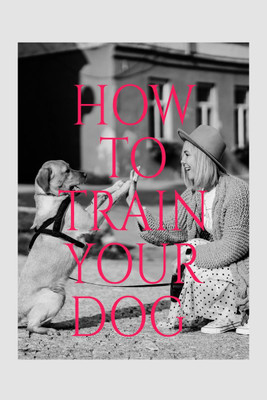 How TRAIN YOUR DOG(English, Paperback, Vijay Patidar)