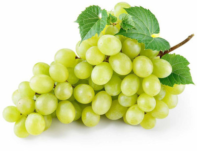 Mozette Hybrid Grapes Seed(55 per packet)