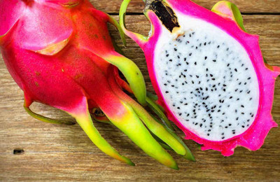 XOLDA Hybrid Dragon fruit Seed(60 per packet)