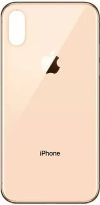 IncMart Apple IPhone XS Back Panel(Rose Gold)