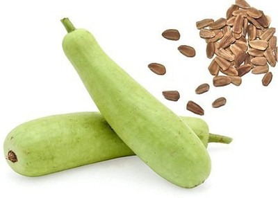 GreenHorizon calabash gourd Seed(20 per packet)