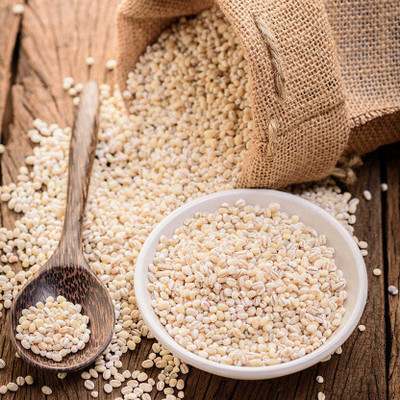 organic orchard Pearl Barley, 900g [Jau Ghat] Barley flavored Sooji Rusk(900 g)