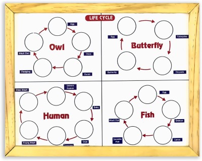 ilearnngrow Magnetic Life cycle - Covering 7 Life Cycles Board Game Accessories Board Game