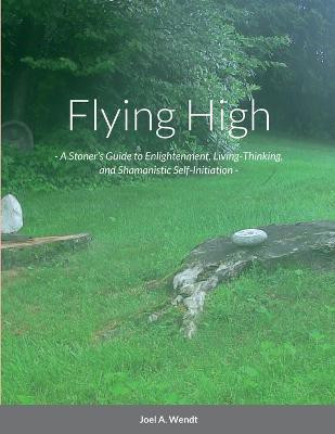 Flying High(English, Paperback, A Wendt Joel)