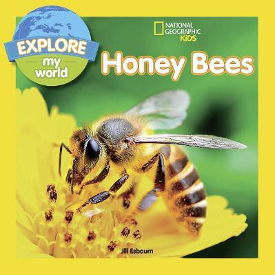 Explore My World: Honey Bees(English, Paperback, Esbaum Jill)