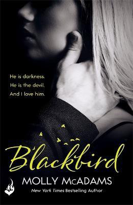 Blackbird(English, Paperback, McAdams Molly)