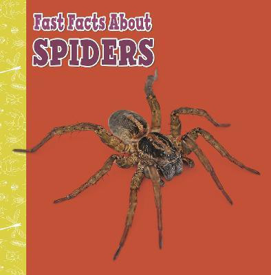Fast Facts About Spiders(English, Paperback, Garstecki-Derkovitz Julia)