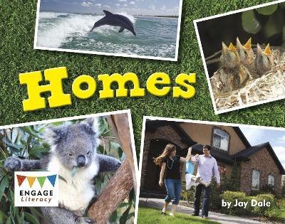 Homes(English, Paperback, Dale Jay)