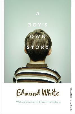 A Boy's Own Story(English, Paperback, White Edmund)