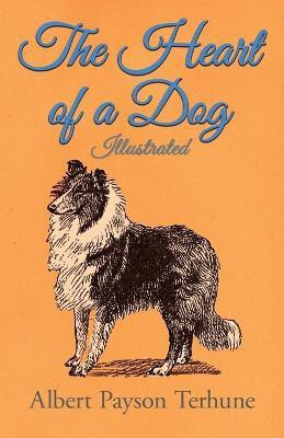 The Heart of a Dog - Illustrated(English, Paperback, Terhune Albert Payson)