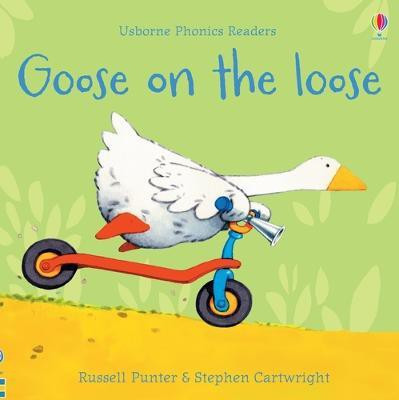 Goose on the loose(English, Paperback, Punter Russell)