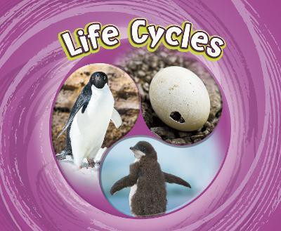 Life Cycles(English, Paperback, Jaycox Jaclyn)