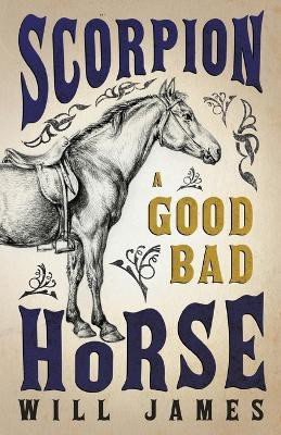 Scorpion - A Good Bad Horse(English, Paperback, James Will)