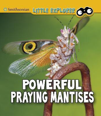 Powerful Praying Mantises(English, Paperback, Higgins Melissa)
