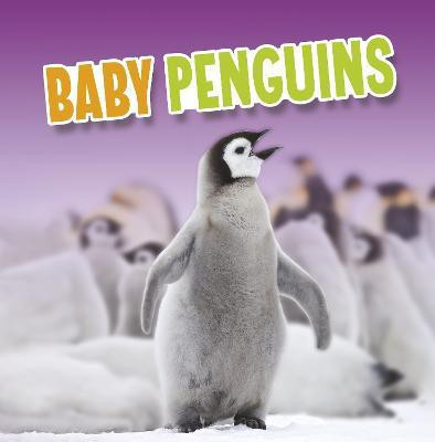 Baby Penguins(English, Paperback, Rustad Martha E. H.)