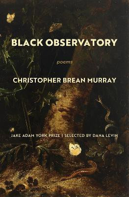 Black Observatory(English, Paperback, Brean Murray Christopher)