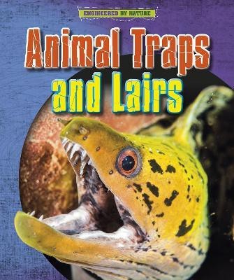 Animal Traps and Lairs(English, Paperback, Spilsbury Louise)