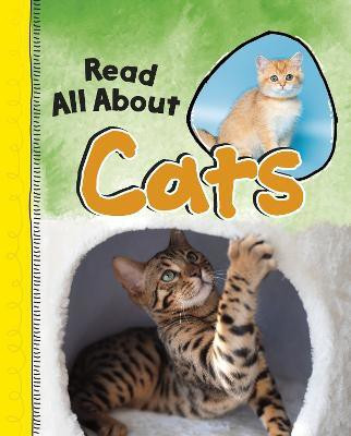 Read All About Cats(English, Paperback, Jaycox Jaclyn)