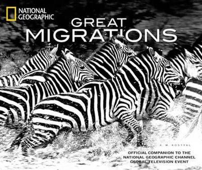 Great Migrations(English, Hardcover, Kostyal Karen)