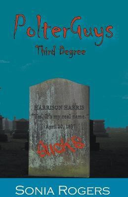 Polterguys 3rd Dimension(English, Paperback, Rogers Sonia)