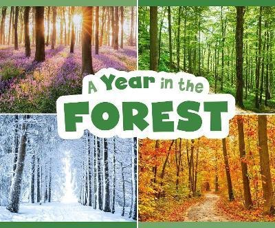 A Year in the Forest(English, Paperback, Gardeski Christina Mia)