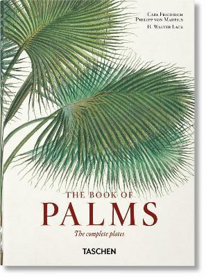 Martius. The Book of Palms. 45th Ed.(English, Hardcover, Lack H. Walter)