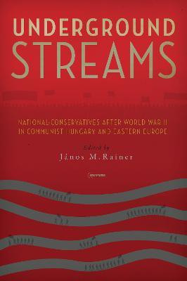 Underground Streams(English, Electronic book text, unknown)
