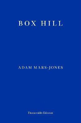 Box Hill(English, Paperback, Mars-Jones Adam)