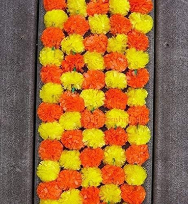 XOLDA Hybrid Mari Gold Orange Seed(55 per packet)