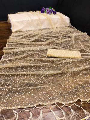 MAAFAB Embroidered Bollywood Net Saree(Beige)