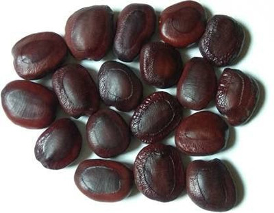 MKR Enterprises Imli Seed(145 per packet)