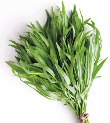 Mozette Hybrid Terragon Seed(60 per packet)