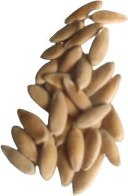 HOIVA Chinese Heirloom Yellow Cucumber Seeds Seed(100 g)