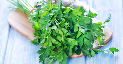 Mozette Hybrid Parsley Seed(55 per packet)