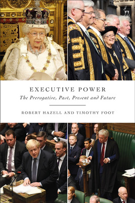 Executive Power(English, Paperback, Hazell Robert)