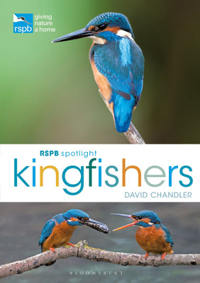 RSPB Spotlight Kingfishers(English, Paperback, Chandler David)
