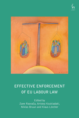 Effective Enforcement of EU Labour Law(English, Hardcover, unknown)