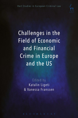 Challenges in the Field of Economic and Financial Crime in Europe and the US(English, Paperback, unknown)