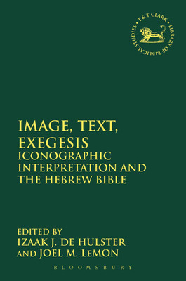 Image, Text, Exegesis(English, Paperback, unknown)