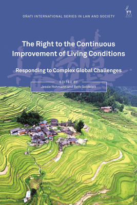 The Right to the Continuous Improvement of Living Conditions(English, Paperback, unknown)