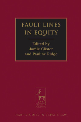 Fault Lines in Equity(English, Hardcover, unknown)