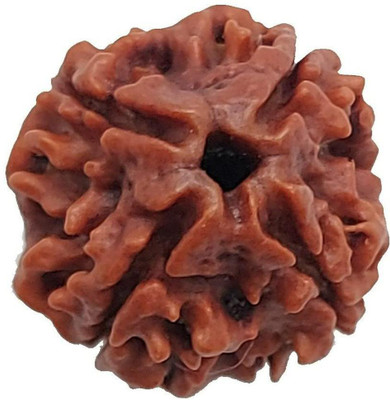 TODANI JEMS 4 Mukhi Nepali Four Face Rudaraksh Rudraksha Bead With Lab Certificate Wood Pendant