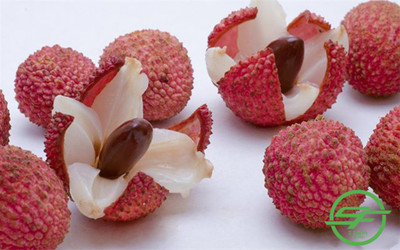 MKR Enterprises Lychee Seed(15 per packet)