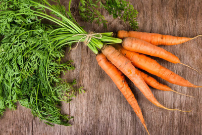 XOLDA Carrot Seed(35 per packet)