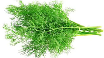 XOLDA Soya Dill Seed(25 per packet)