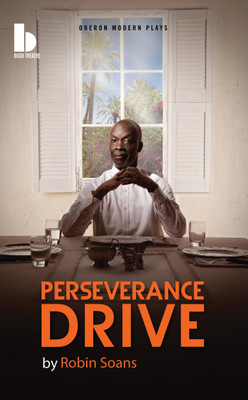 Perseverance Drive(English, Paperback, Soans Robin)