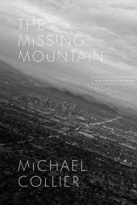 The Missing Mountain(English, Paperback, Collier Michael)